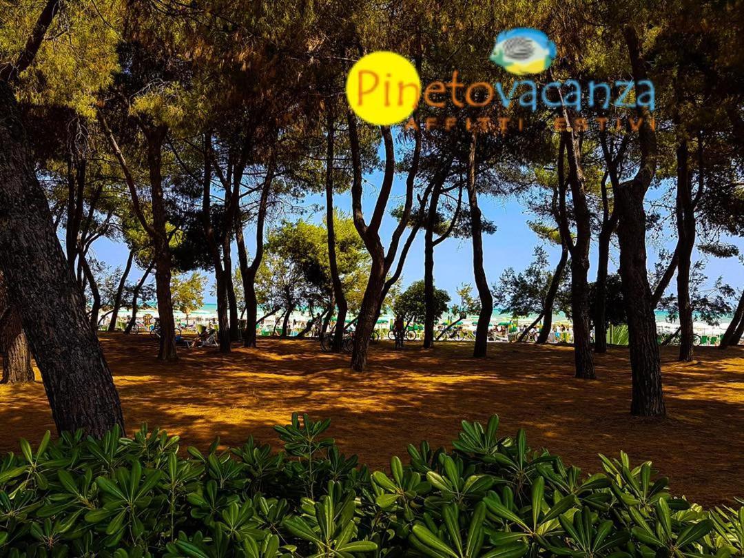 Myconos C2 - Pineto Vacanza Экстерьер фото